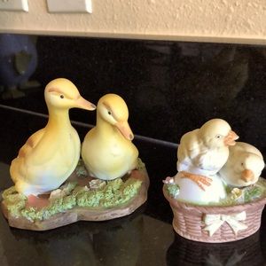 Chicks and ducks